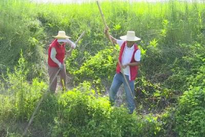 致敬高温下的劳动者｜跃进村河道管理员：烈日下守护碧水清波