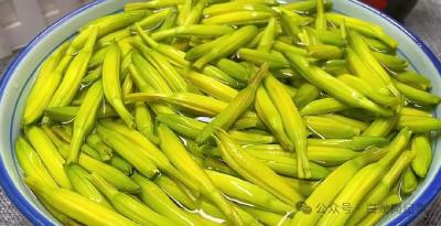 这种菜正上市！小心中毒！越新鲜越危险……