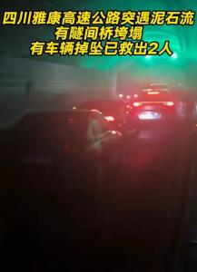 四川突发！高速隧间桥垮塌，有车辆掉坠！