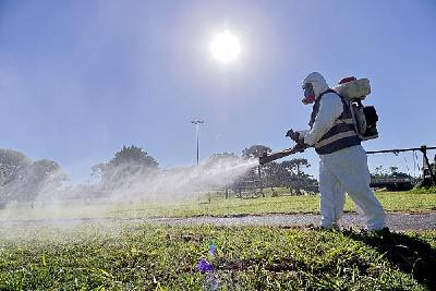 阿根廷今年已确诊超56万例登革热病例