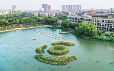 【大美荆州】江陵月亮湾湿地公园景色如画