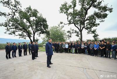 习近平：乡村振兴要靠产业，各地要各展其长