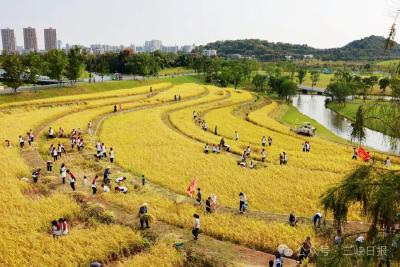 昨天，从夷陵中学传出来的……