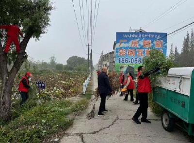 荆州区荆安村开展清洁家园志愿服务活动