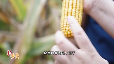 新乡贤丨卢其强：扎根乡土