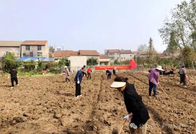 知荆州 爱荆州 兴荆州丨共享“小菜地” 凝聚“小幸福”