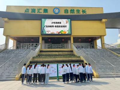 公安县新联会积极开展少年急救官生命教育科学艺术展食品安全宣教活动