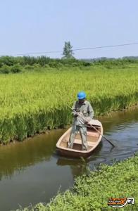 荆州首次运用绝缘平台带电作业法，为西电东送重要工程建设开道