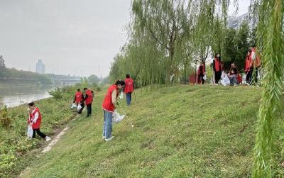 荆州区凤鸣社区：党群携手共筑“清洁家园”