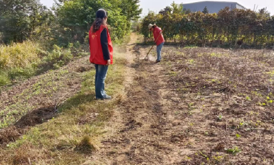 荆州经开区鱼农桥街道杨场新城社区：多措并举织牢秋季禁烧“防护网”