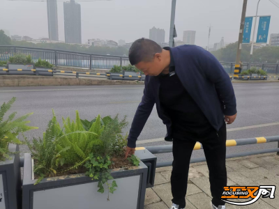 “一路一花”扮靓张李家渊 顺手牵“花”却让人闹心