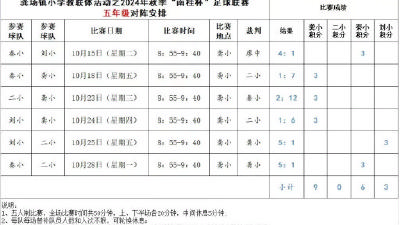 监利市龚场镇小学教联体组织2024年秋季足球联赛及教研活动