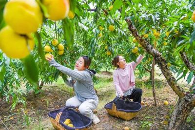 农民日报报道 | 锚定目标强县域 村强民富幸福来——湖北省荆州市深入推进强县工程综述