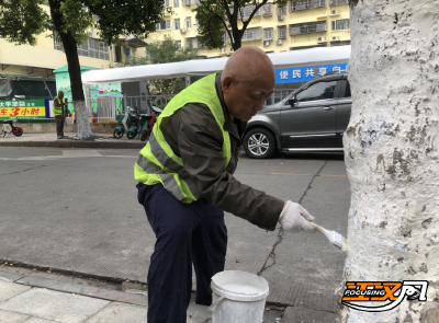 又逢越冬“必修课” 沙市树木涂白作业忙