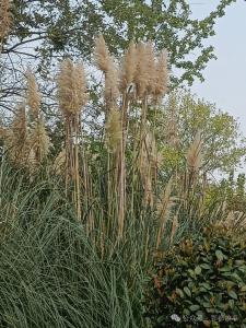 荆江号精选|立冬又逢小阳春