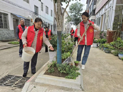 荆州区郢城镇荆北村：播种草籽，为秋冬添“绿衣”