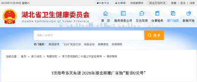 “复诊0元号”！湖北明年将全省推广