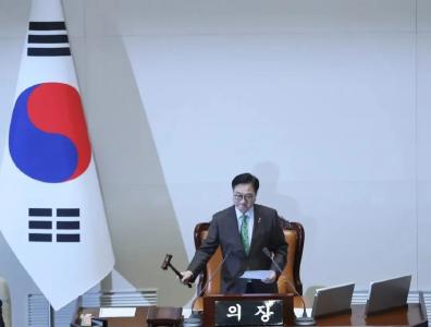 从阿萨德到尹锡悦：政权安全启示录