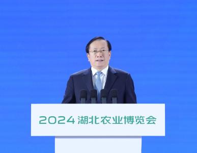 2024湖北农业博览会开幕 王忠林宣布开幕