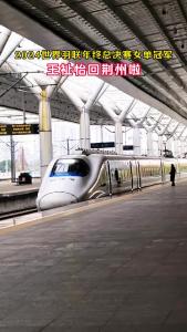 2024世界羽联年终总决赛女单冠军王祉怡回荆州啦