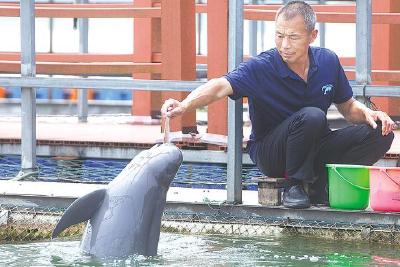 湖北日报丨中华鲟繁育 江豚添丁 长江鲟产卵 长江三大珍稀濒危物种安居湖北