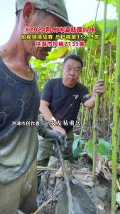 2024荆州味道就是抖味丨共赏家乡味，共话家乡情！为洪湖市的创作者们点赞