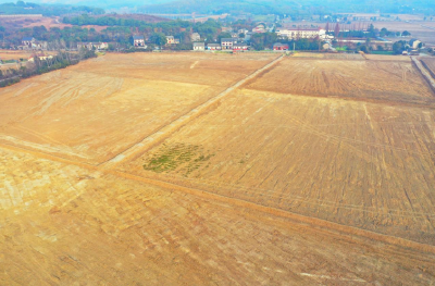 新春走基层丨荆州：“小田并大田”   耕地增量增效