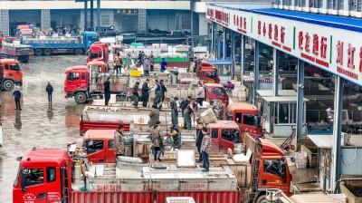 华中地区第二！荆州锦欣水产批发市场日成交量达100万斤