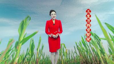 今天是大年初三，主持人给大家拜年啦！