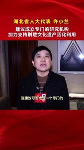 湖北省人大代表许小兰：建议成立专门的研究机构，加力支持荆楚文化遗产活化利用