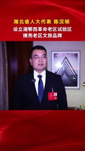 湖北省人大代表陈汉明：设立湘鄂西革命老区试验区，支持擦亮老区文旅品牌，支持洪湖打造全国知名的文化旅游目的地