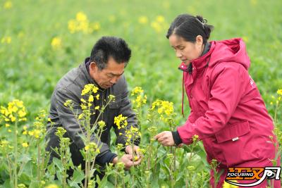 在荆全国人大代表风采丨毕利霞：共富“稻”路越走越宽广