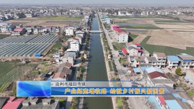产业拓宽增收路 绘就乡村振兴新图景