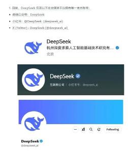 DeepSeek紧急声明 