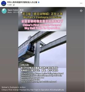外交部转发，又在武汉
