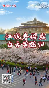 樱花只是开场！1份邀约＝6种世界级风景