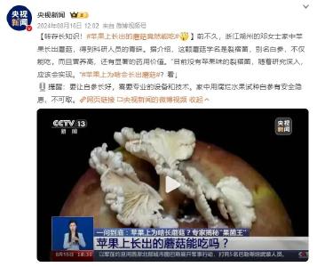 突然火了，“卖出天价”！网友评论亮了