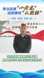 争当发展“小老虎” 绘就镇域“大荆彩” | 乡镇街道负责人说——沙市区锣场镇党委书记罗长城：敢闯敢拼 实干争先 勇当工业经济排头兵