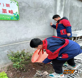 第47个植树节|荆州小学城南校区：“植”此青翠  共绘葱茏