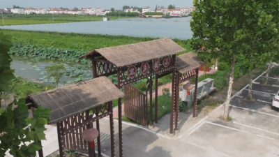 家在山水间｜洪湖市乌林村：水乡“新农人”玩转“新农活”