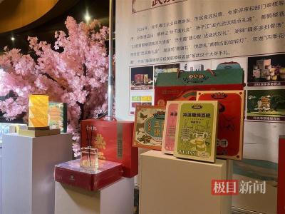 光影绘长江，知音话未来，嘉宾打卡“古琴号”沉浸式感受武汉之夜