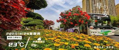 早安·荆州丨停水10小时！涉及这些区域→