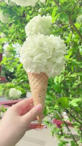 一路繁花 春满荆州丨荆州的春天才刚刚开始