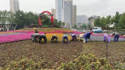 花+++！荆州街头大量出现……