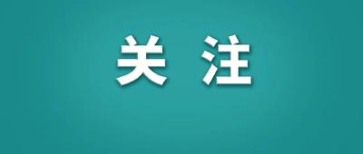 近2.9亿人次！