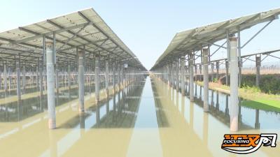 同一片水塘 监利人既收鱼虾又“收阳光”