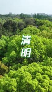 V视丨清明