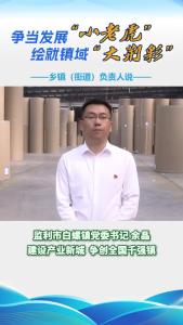 争当发展“小老虎” 绘就镇域“大荆彩” 乡镇街道负责人说——监利市白螺镇党委书记余晶：建设产业新城 争创全国千强镇