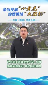 争当发展“小老虎” 绘就镇域“大荆彩”乡镇街道负责人说——沙市区关沮镇党委书记彭湃：强化支点意识 建功城区领跑