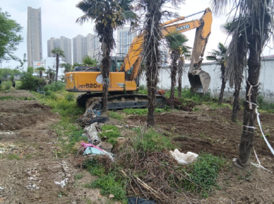 荆州区东城街道东桥社区：菜地焕新 开启支点建设新篇章